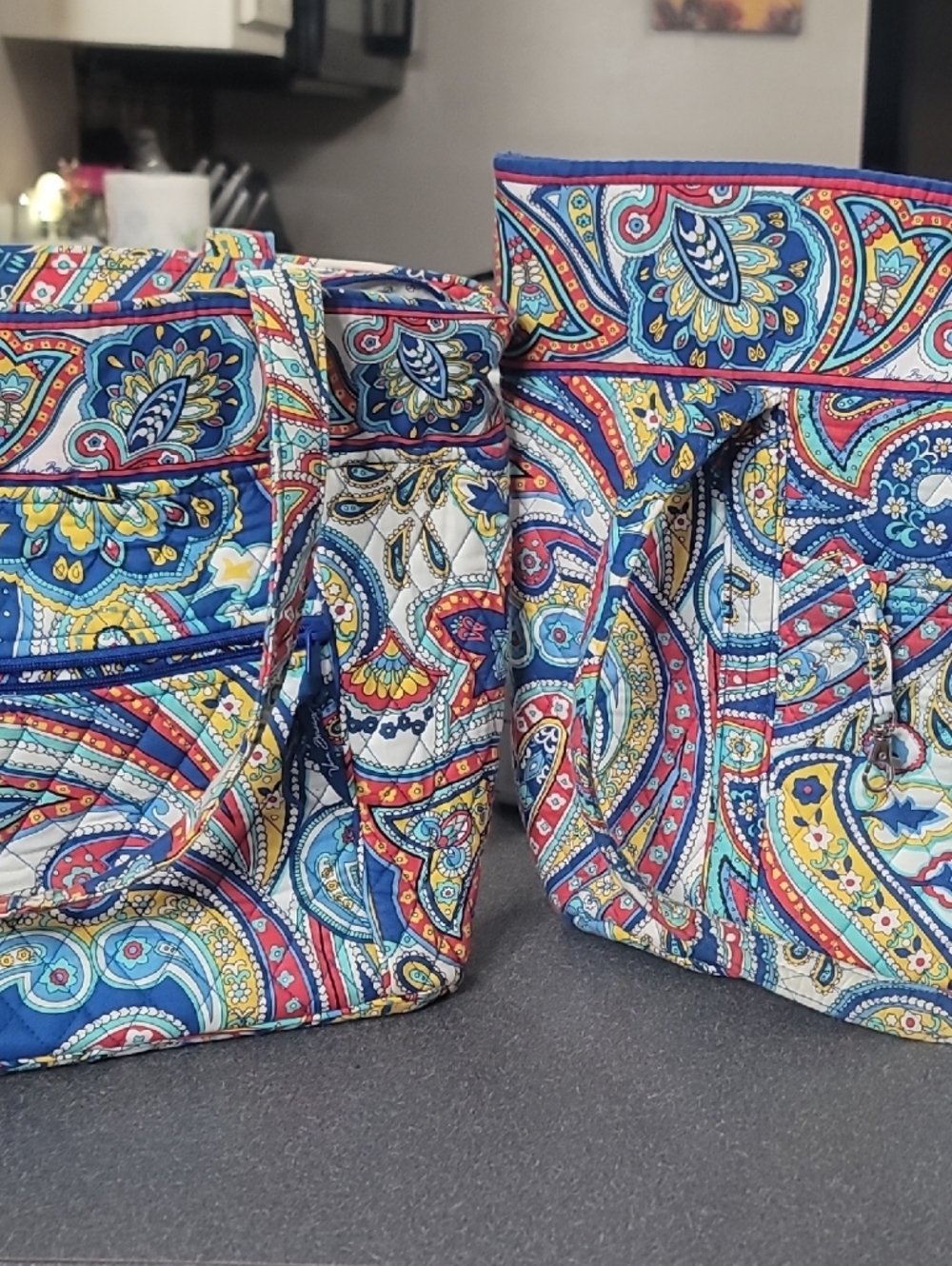 Vera Bradley Multicolor Paisley Quilted Bag